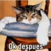 Ok despues