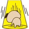 Cute pug 15
