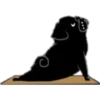 Yoga Pug 21