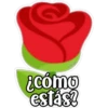 miyi
¿cómo
estás?