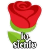 miyi
lo
siento