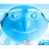 Si