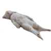 Gatinhos reais 17