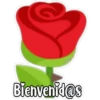 miyi
Bienvenid@s