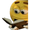 MN
