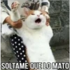SOLTAME QUE LO MATO