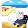 Unicorn Life 22