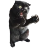 Kittens 22