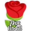 miyi
¡Que
lindo!