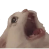Shitpost (4) 19