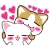I want to hug a kitten 13