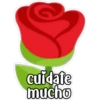 miyi
cuidate
mucho
