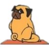 Yoga Pug 24