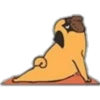 Yoga Pug 25