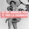 las argentinas directas  1 24