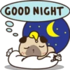 GOOD NIGHT