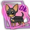 Rosa
K