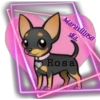 Maravilloso
día
Rosa