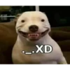..XD