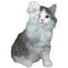 Kittens 28