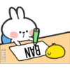 SPOILED RABBIT #1 27
