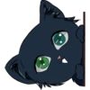 Lo Que Todo Gato Quiere 14