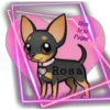 Dies
Paque
Rosa