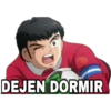 DEJEN DORMIR