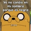 Yo no confío en
mi sombra
porque es negra
6
Persy