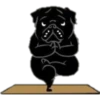 Yoga Pug 30