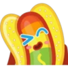Hot Dog Rainbow 30