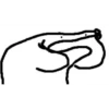 Seleccion Flork 7