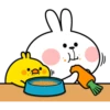 Plump Little Chick 8