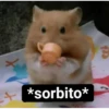 *sorbito* B +