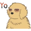 Yo