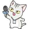 Gray Kitten 6