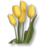 Garden        (Clásica) 8