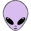 Todo morado 8