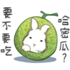 哈密瓜?
要不要吃