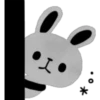 Grey rabbit 12