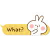 Spoiled Rabbit Balloon Basic Set B 11