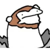 Selección Flork 3 6
