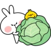 Spoiled Rabbit Spring 12