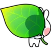 Spoiled Rabbit Small For You 11