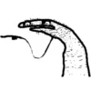 Selección Flork 3 7
