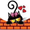 Kittens mix 9