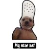 My NEW HAT