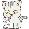 Gray Kitten 9