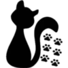 Kittens mix 10