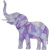 Todo morado 15